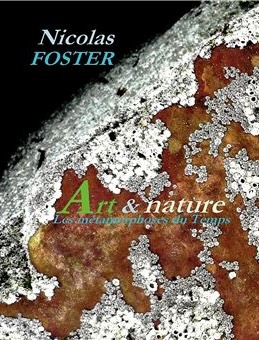 Nicolas FOSTER Artiste